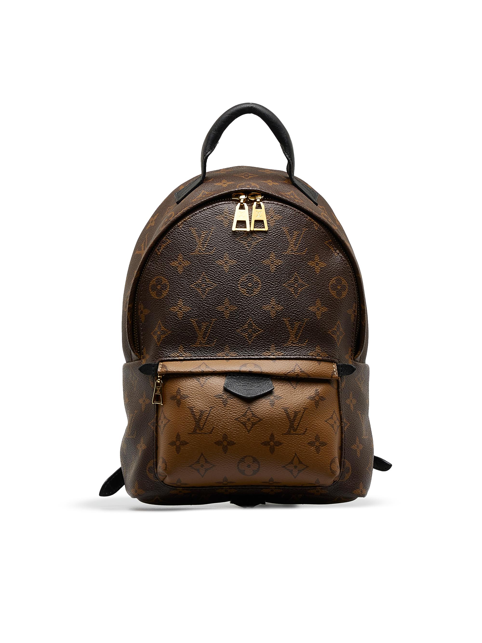 Louis Vuitton Brown Monogram Reverse Palm Springs PM Cloth ref