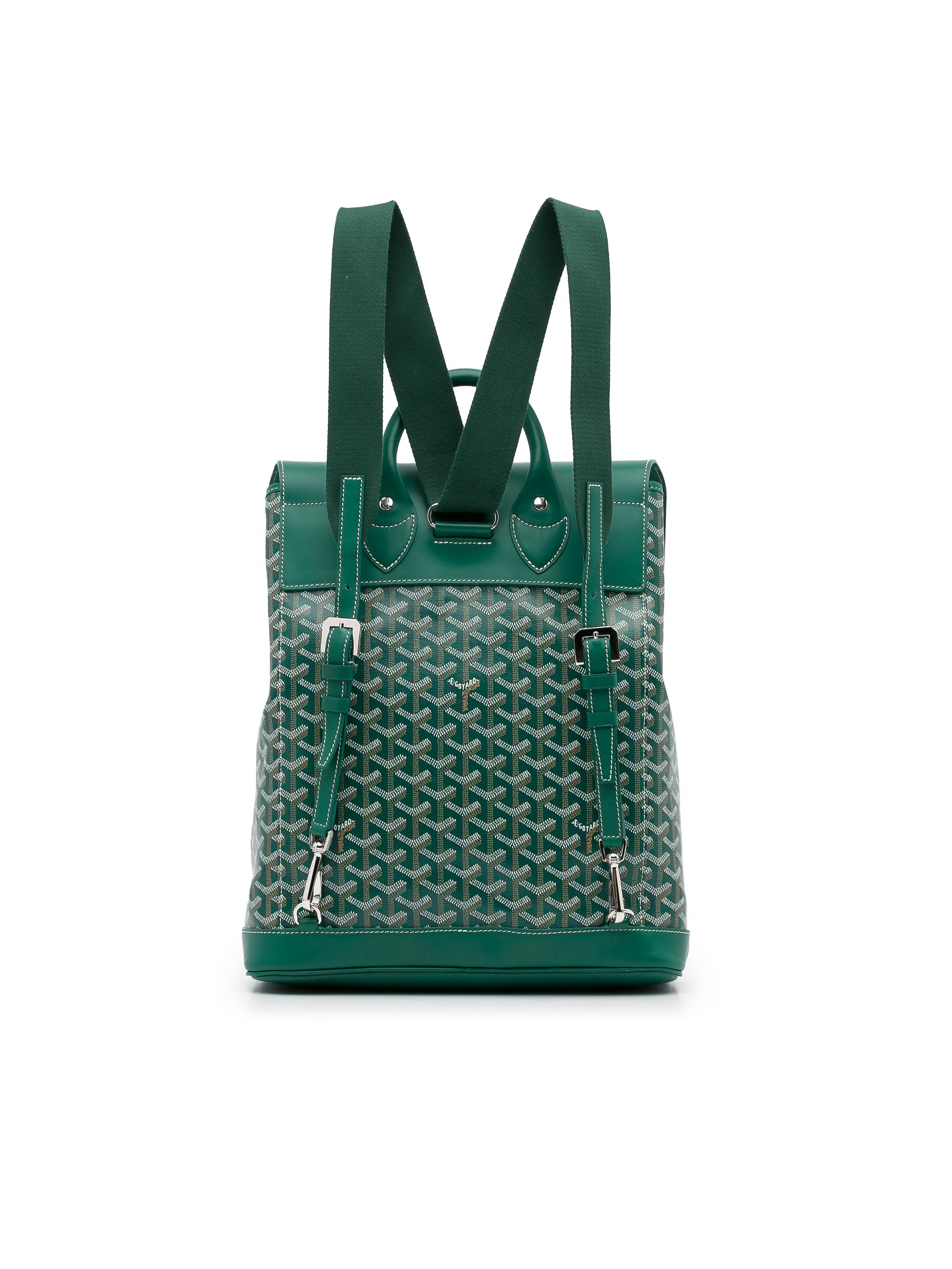 Dior Diorama Medium Calf Green