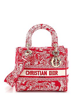 Christian Dior Lady D-Lite Bag Embroidered Canvas Medium (view 1)