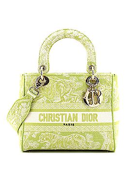 Christian Dior Toile de Jouy Lady D-Lite Bag Embroidered Canvas (view 1)