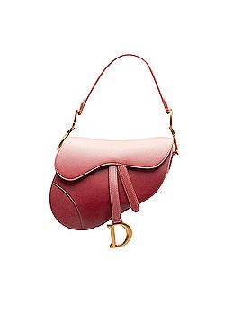 Dior Ombre Saddle (view 1)
