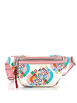 Gucci x The North Face Zip Belt Bag Printed Nylon (view 1)