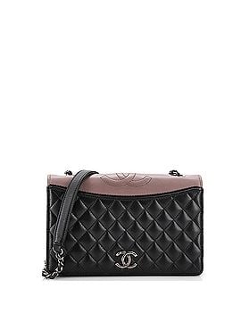 Chanel Ballerine Flap Bag Quilted Lambskin Small (view 1)