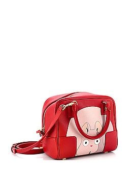 Loewe Howl's Moving Castle Amazona Bag Inlaid Leather 16 (view 2)