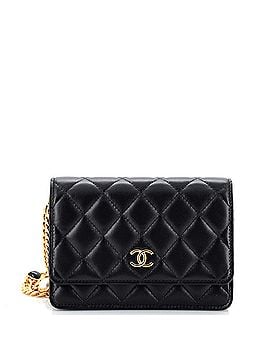 Chanel Resin Pearl Chain Flap Bag Quilted Lambskin Mini (view 1)
