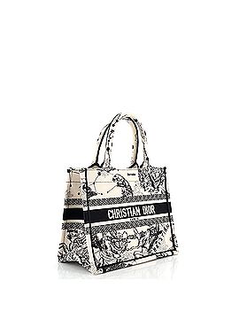 Christian Dior Book Tote Embroidered Canvas Small (view 2)