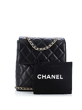 Chanel CC Chain Flap Backpack Quilted Caviar (view 2)