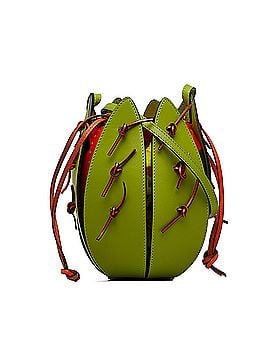 Loewe Paula's Ibiza Leather Cactus Bucket Bag (view 1)