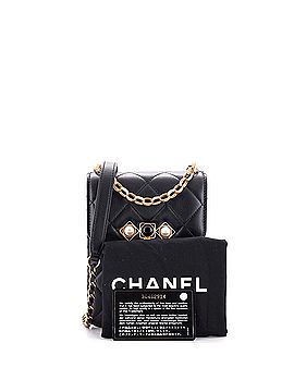 Chanel Resin and Pearl CC Flap Bag Quilted Calfskin North South (view 2)