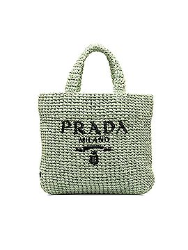 Prada Small Raffia Logo Tote Bag (view 1)