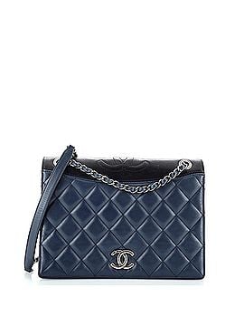 Chanel Ballerine Flap Bag Quilted Lambskin Medium (view 1)