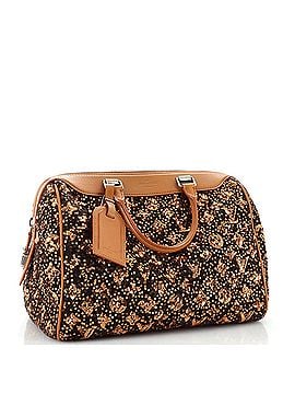 Louis Vuitton Speedy Handbag Limited Edition Sunshine Express 30 (view 2)