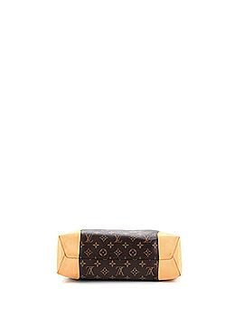 Louis Vuitton Berri Handbag Monogram Canvas PM (view 2)