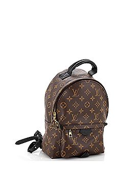 Louis Vuitton Palm Springs Backpack Monogram Canvas PM (view 2)