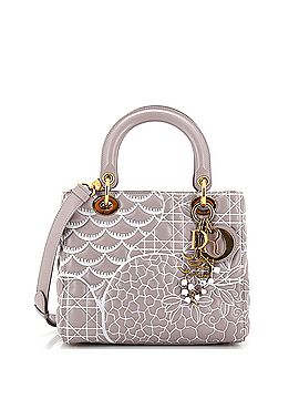 Christian Dior Lady Dior Art Bag Embroidered Lambskin Medium (view 1)