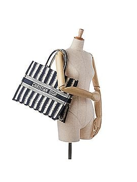 Dior Large Striped Book Tote (view 2)