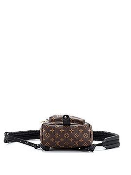 Louis Vuitton Palm Springs Backpack Monogram Canvas PM (view 2)