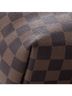 Louis Vuitton Brown Tan Clapton Backpack Damier and Leather One size - photo 6