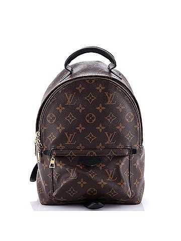 Louis Vuitton Palm Springs Backpack Monogram Canvas PM (view 1)