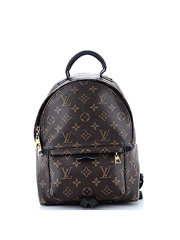 Louis Vuitton Palm Springs Backpack Monogram Canvas PM (view 1)