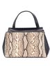 Céline 100% Leather Black Tan Edge Bag Python and Leather Medium One size - photo 1