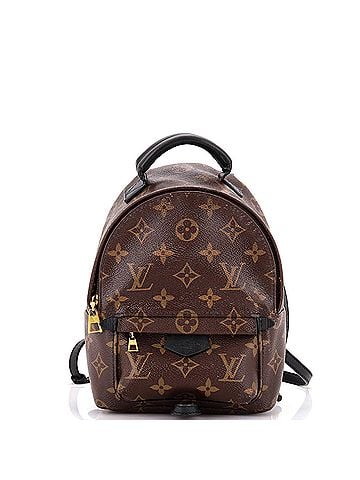 Louis Vuitton Palm Springs Backpack Monogram Canvas Mini (view 1)