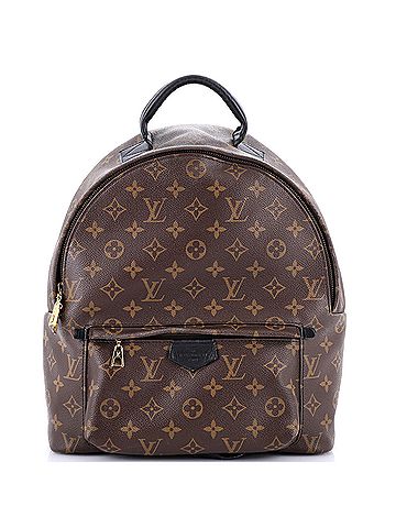 Louis Vuitton Palm Springs Backpack Monogram Canvas MM (view 1)