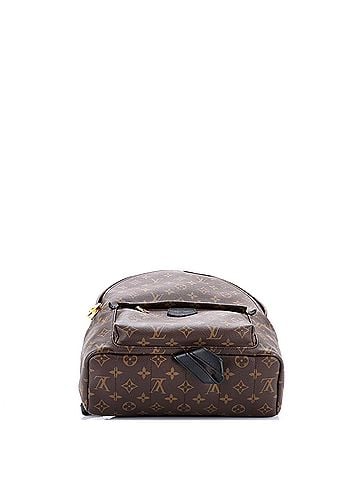 Louis Vuitton Palm Springs Backpack Monogram Canvas MM (view 2)