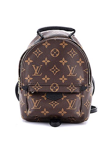 Louis Vuitton Palm Springs Backpack Monogram Canvas Mini (view 1)