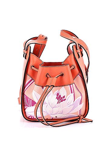 Loewe Hammock Bag Leather and Printed Canvas Mini (view 1)