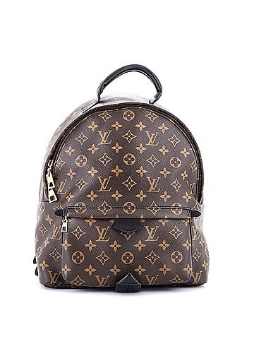 Louis Vuitton Palm Springs Backpack Monogram Canvas MM (view 1)