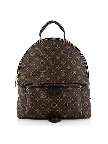 Louis Vuitton Palm Springs Backpack Monogram Canvas MM (view 1)