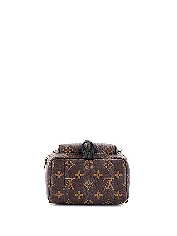 Louis Vuitton Palm Springs Backpack Monogram Canvas Mini (view 2)