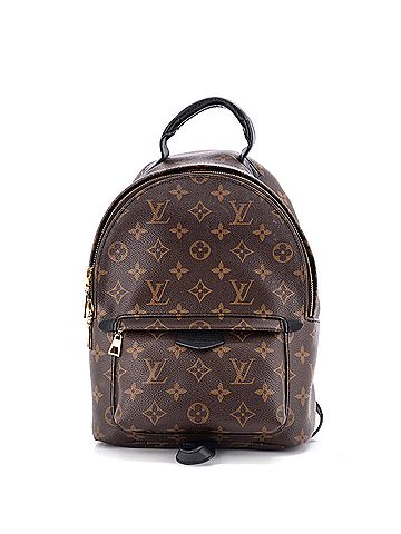 Louis Vuitton Palm Springs Backpack Monogram Canvas PM (view 1)