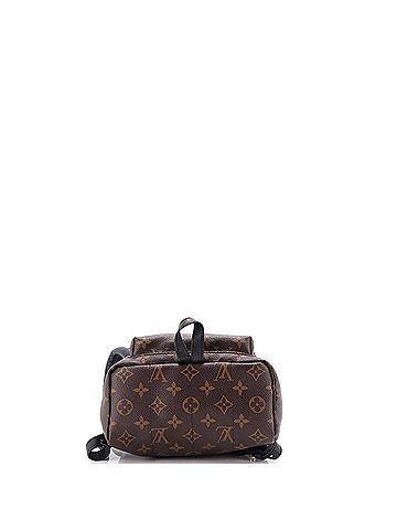 Louis Vuitton Palm Springs Backpack Monogram Canvas PM (view 2)