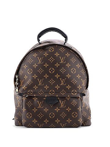 Louis Vuitton Palm Springs Backpack Monogram Canvas MM (view 1)