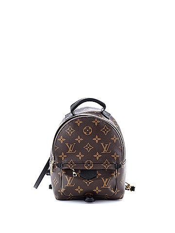 Louis Vuitton Palm Springs Backpack Monogram Canvas Mini (view 1)