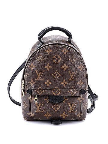 Louis Vuitton Palm Springs Backpack Monogram Canvas Mini (view 1)