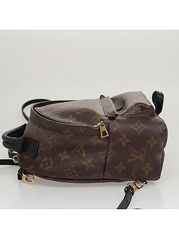 Louis Vuitton Palm Springs Mini Brown Canvas Backpack Bag (view 2)