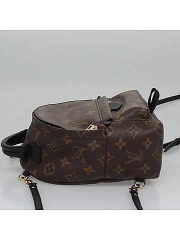 Louis Vuitton Palm Springs Brown Canvas Backpack Bag (view 2)