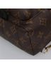 Louis Vuitton 100% Canvas Solid Brown Palm Springs Brown Canvas Backpack Bag One size - photo 7