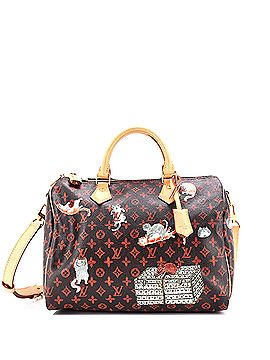Louis Vuitton Satchel