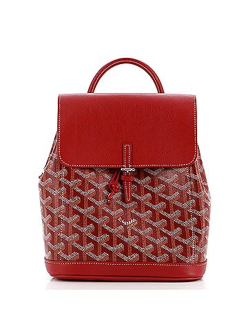 Goyard Alpin Backpack Coated Canvas Mini (view 1)