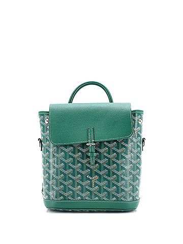 Goyard Alpin Backpack Coated Canvas Mini (view 1)