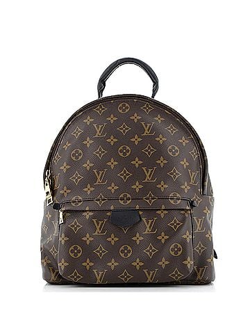 Louis Vuitton Palm Springs Backpack Monogram Canvas MM (view 1)