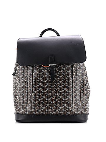 Goyard Alpin Backpack Coated Canvas MM (view 1)