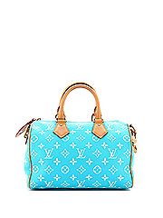 Louis Vuitton Leather Shoulder Bag