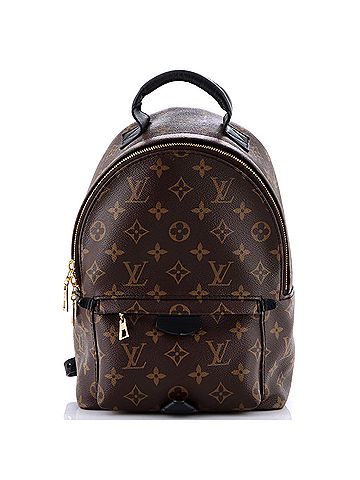 Louis Vuitton Palm Springs Backpack Monogram Canvas PM (view 1)
