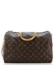Louis Vuitton Shoulder Bag