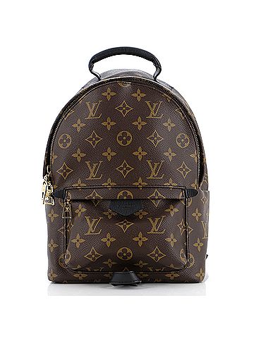 Louis Vuitton Palm Springs Backpack Monogram Canvas PM (view 1)